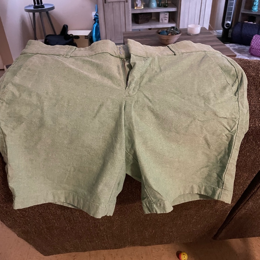 J.Crew Shorts size 8